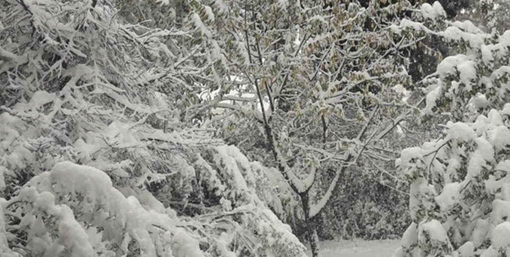 هواشناسی ایران ۹۹/۱۲/۲|ورود ۲ سامانه بارشی از شمال غرب و جنوب غرب/ برف و باران ۵ روزه در کشور