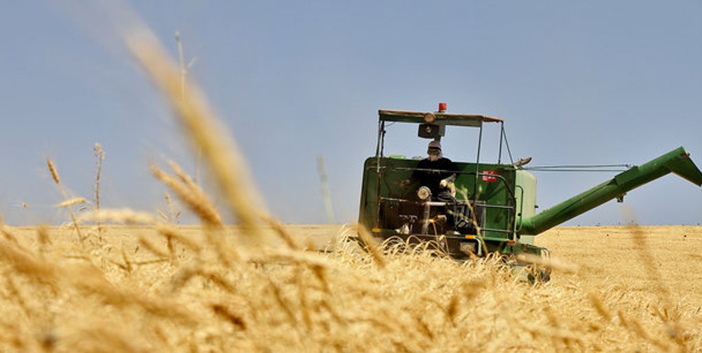 خرید 180 الی 240 هزار تن گندم توسط ایران از روسیه !