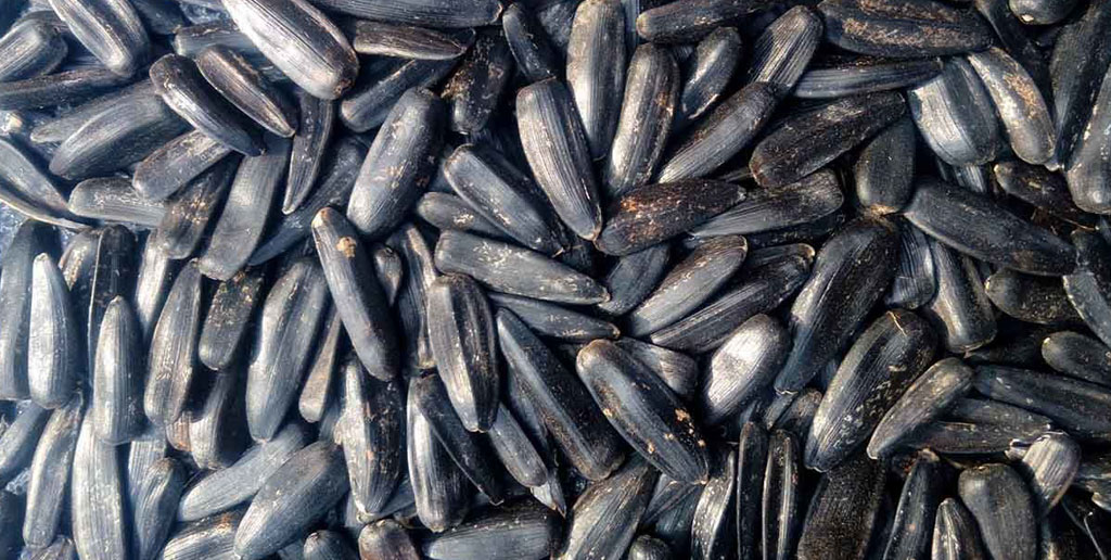 این 6 خوراکی سیاه را حتما بخورید