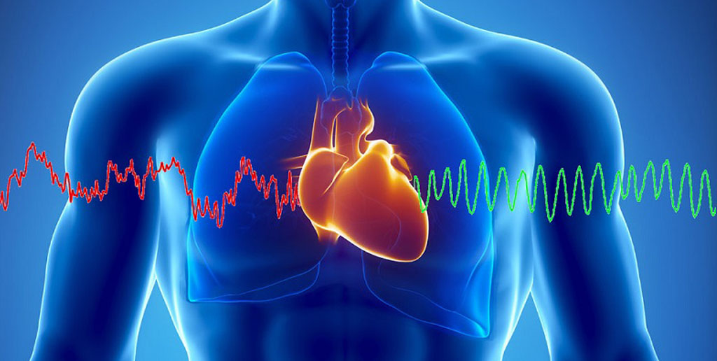 بهترین خوراکی برای درمان بیماری های قلبی