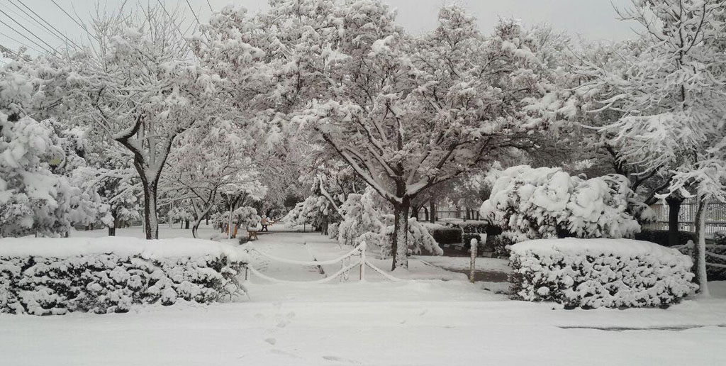 هواشناسی ایران ۹۹/۱۱/۳۰|پیش‌بینی بارش برف و باران در ۲۵ استان تا اوایل هفته آینده