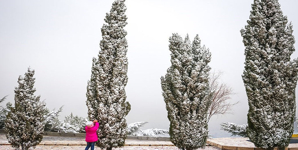 هواشناسی ایران ۹۹/۱۲/۱۱|بارش برف و باران در ۲۰ استان/ سامانه بارشی جدید در راه است