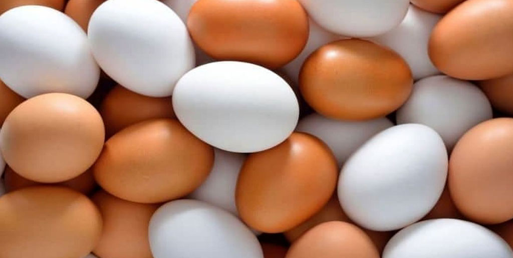 تخم‌مرغ چند نرخی می‌شود
