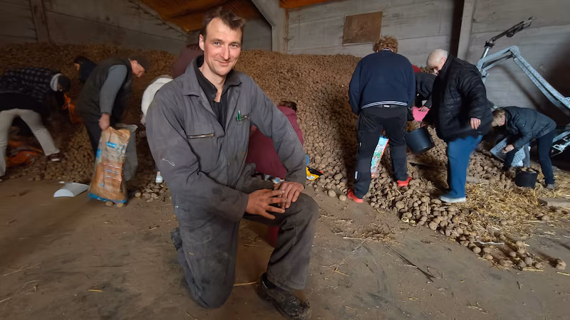 سیب ‌زمینی رایگان در بلژیک؛ نتیجه بحران بازار